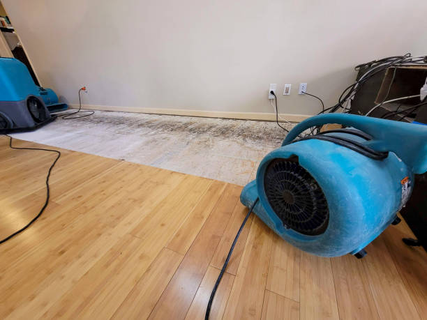 Professional Flood Damage Cleanup technician working in Hondo, TX